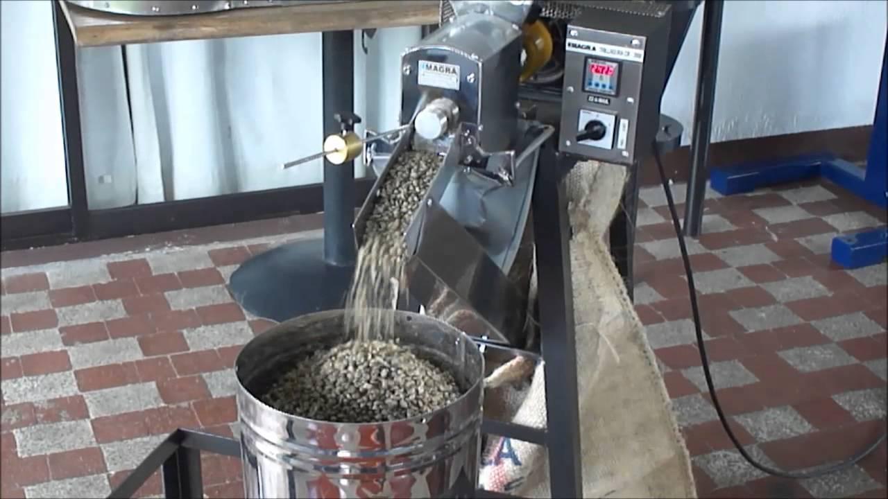 Proceso de trillado y tipos de café