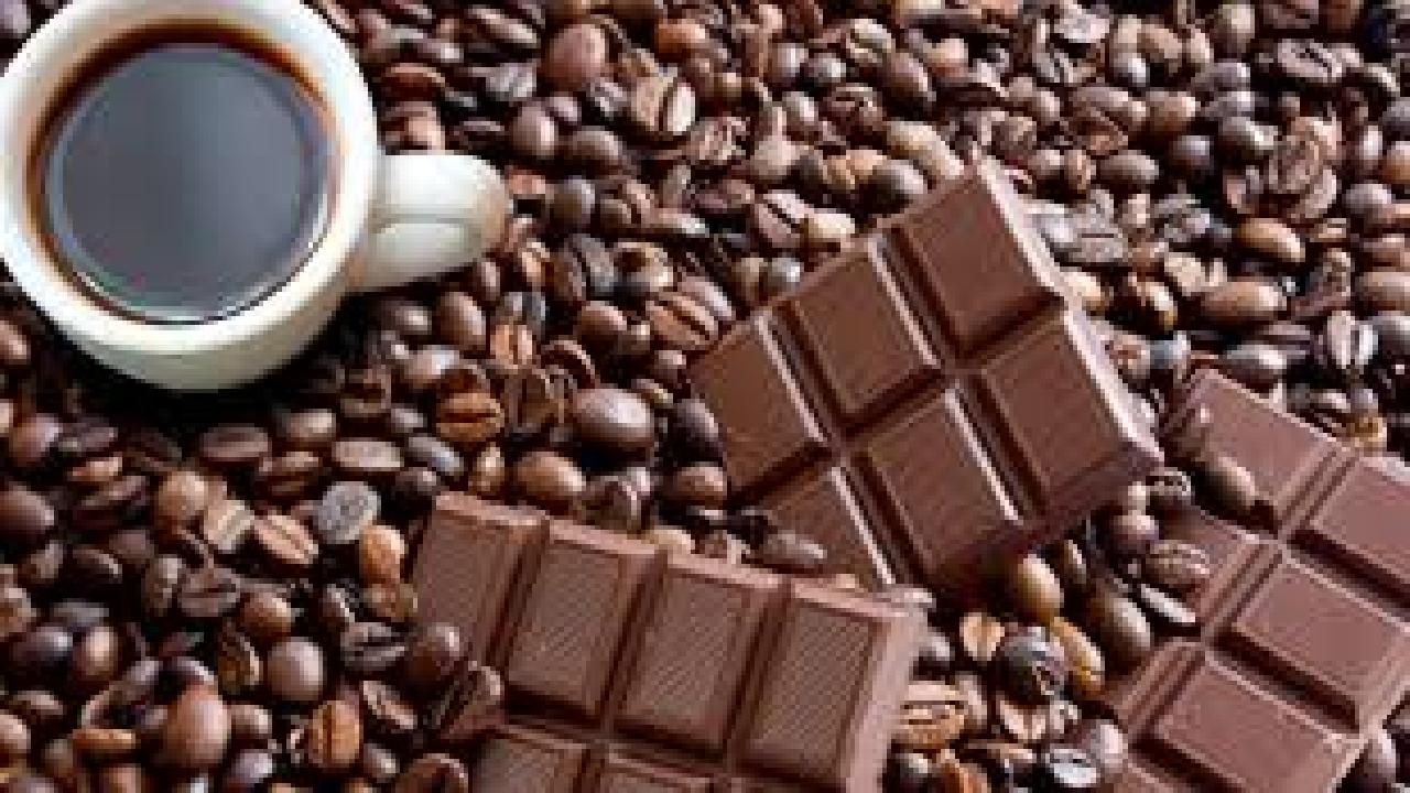 Chocolate gourmet con café